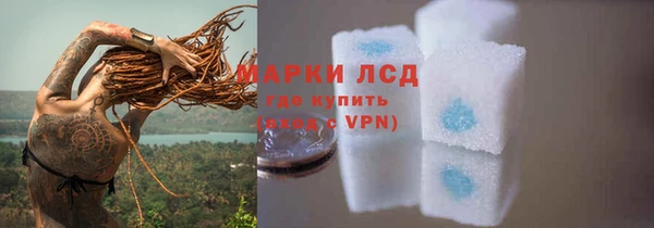 эйфоретик Алзамай