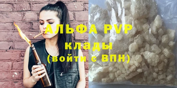 стаф Абинск