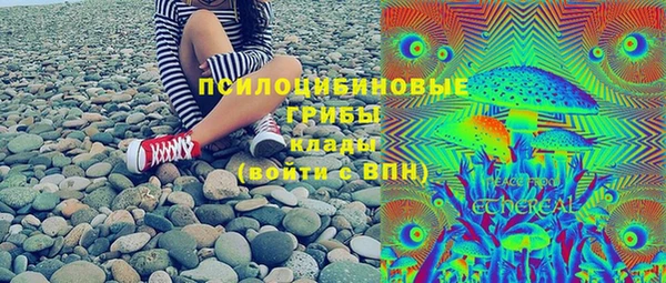 стаф Абинск