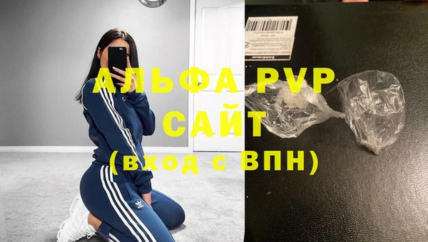 прущие грибы Каменногорск