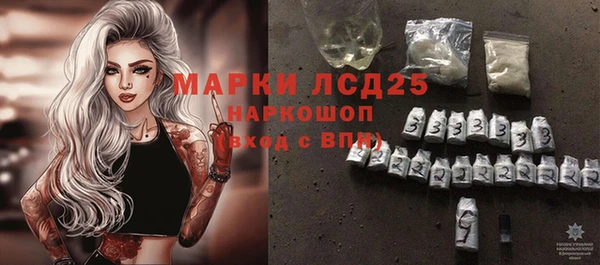 стаф Абинск