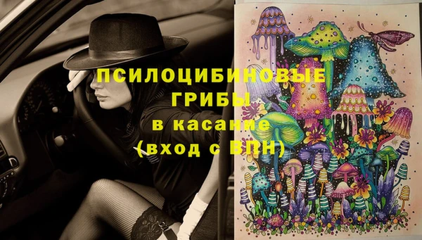 стаф Абинск