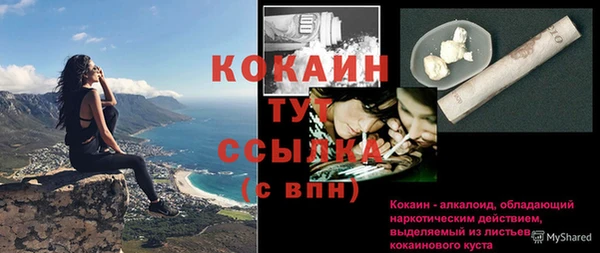 стаф Абинск