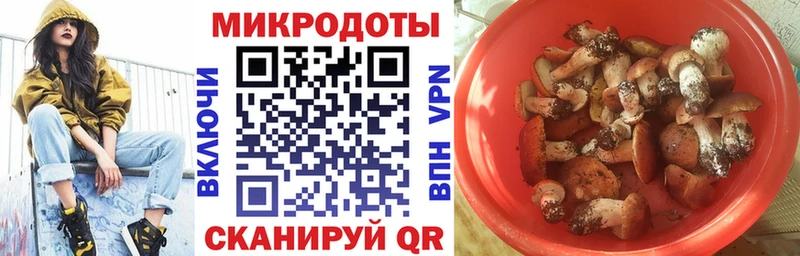 Псилоцибиновые грибы прущие грибы  Воронеж 